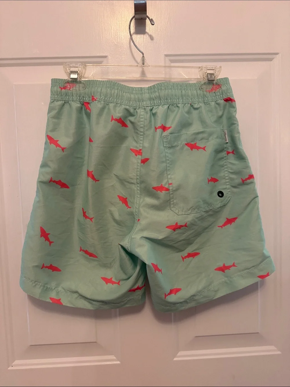Men's Mint Green Swim Trunks with Coral Shark Print XS